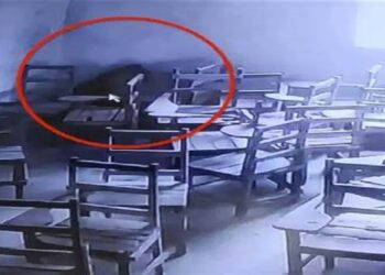 Leopard targets student at Aligarh school Mumbai