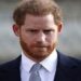 Prince Harry has ‘wounded’ top royal family members, claims royal expert